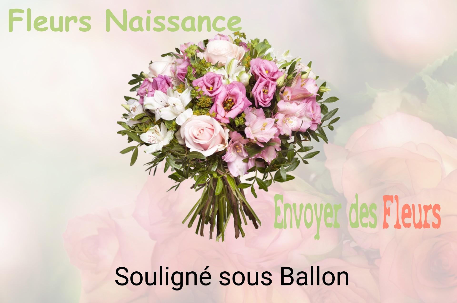 Bouquet de fleurs de naissance livré à Souligné-sous-Ballon