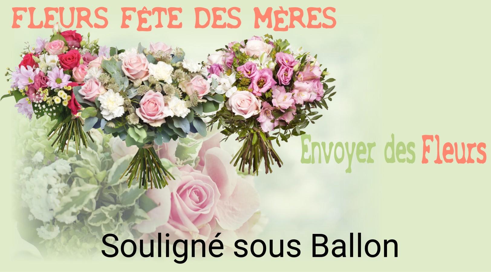Bouquet de Fête des Mères livré à Souligné-sous-Ballon